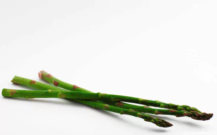 food asparagus HD Desktop Wallpaper | Background Image