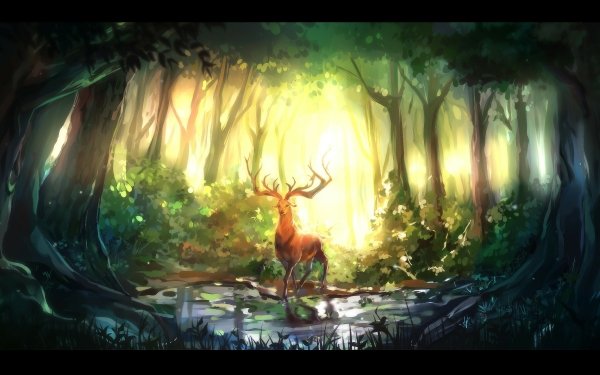 Fantasy Wald HD Wallpaper | Hintergrund