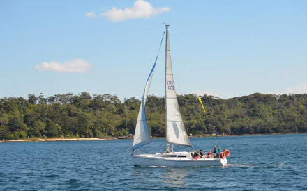  The Symbiosis Sail Boat On Sydney Harbour