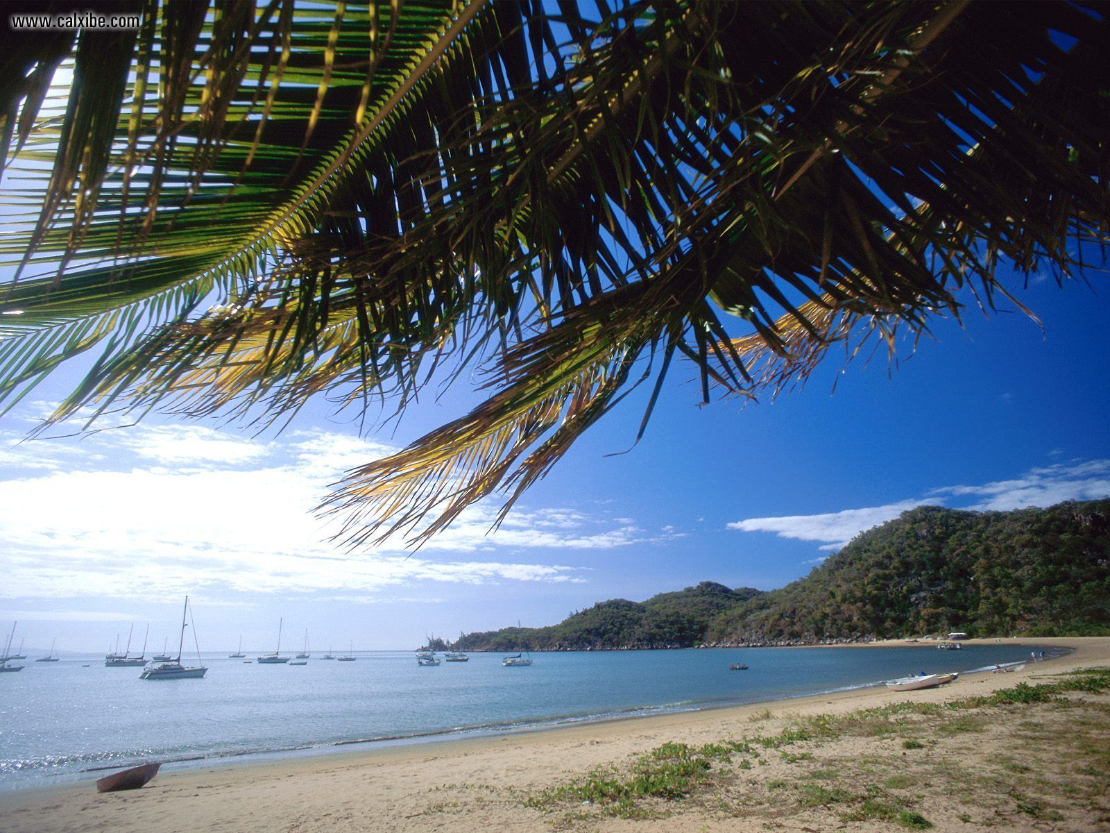 Nature Coastline HD Wallpaper | Background Image
