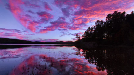 HD desktop wallpaper of a vibrant sunset sky reflecting over a calm lake, surrounded by silhouetted trees, capturing serene natural beauty and peaceful reflection.
