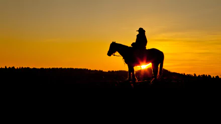 man cowboy HD Desktop Wallpaper | Background Image