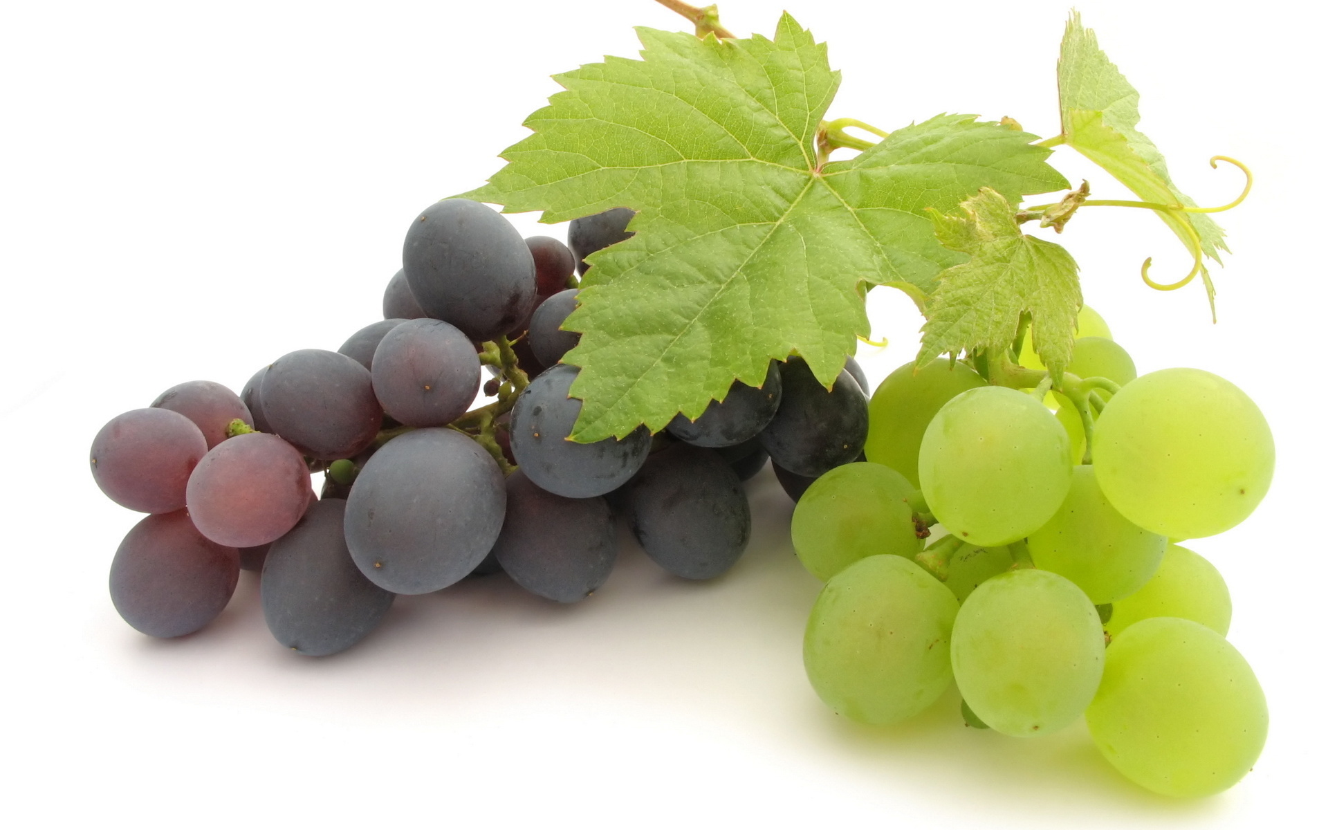 Grapes Full HD Wallpaper and Background Image 1920x1200 ID438679