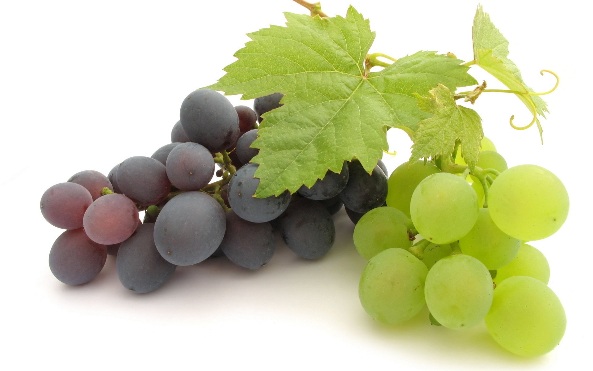 Grapes Full HD Wallpaper and Background Image | 1920x1200 | ID:438679