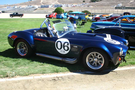 Blue AC Cobra roadster numbered 06 parked on grass, captured as a 2K Quad HD PC desktop wallpaper and background.