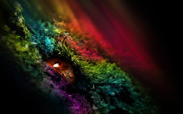 Artistic Eye HD Wallpaper | Background Image