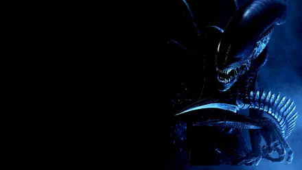 xenomorph movie alien HD Desktop Wallpaper | Background Image