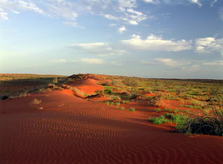 HD PC desktop wallpaper: Simpson Desert nature scene with rippled red sand dunes, scattered shrubs and a wide blue sky.