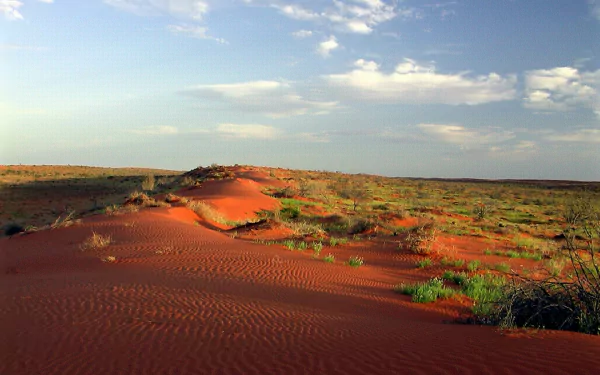 HD PC desktop wallpaper: Simpson Desert nature scene with rippled red sand dunes, scattered shrubs and a wide blue sky.