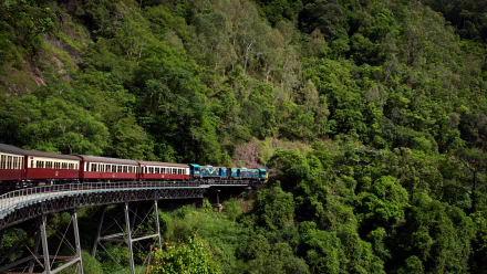 A vibrant train travels along a curved bridge, surrounded by lush greenery, creating a captivating HD desktop wallpaper and background.