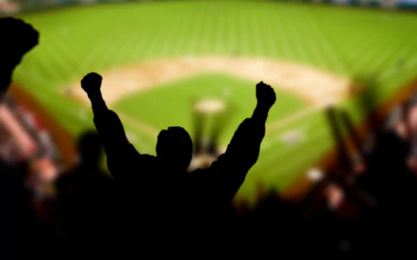 HD PC desktop wallpaper showing a silhouetted fan cheering in the stands of a brightly lit baseball stadium.
