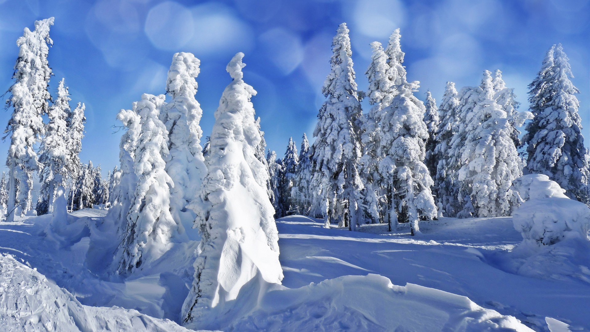 HD PC desktop wallpaper showcasing a serene winter landscape with snow-covered trees under a clear blue sky in nature.