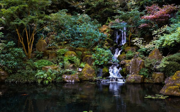 Earth Waterfall Waterfalls Nature Pond Park Japanese Garden HD Wallpaper | Background Image