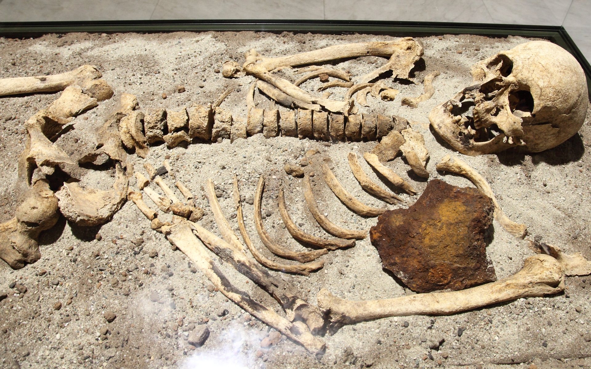 Download Dark Skeleton 4k Ultra HD Wallpaper