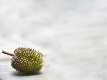HD PC desktop wallpaper: a single spiky durian fruit resting on a soft, blurred background, food/fruit motif with lychee tag.