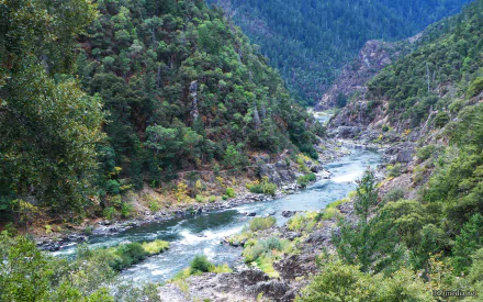 HD desktop wallpaper showcasing a vibrant river winding through lush Oregon forests with dense trees and natural mountainous terrain.