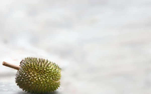HD PC desktop wallpaper: a single spiky durian fruit resting on a soft, blurred background, food/fruit motif with lychee tag.