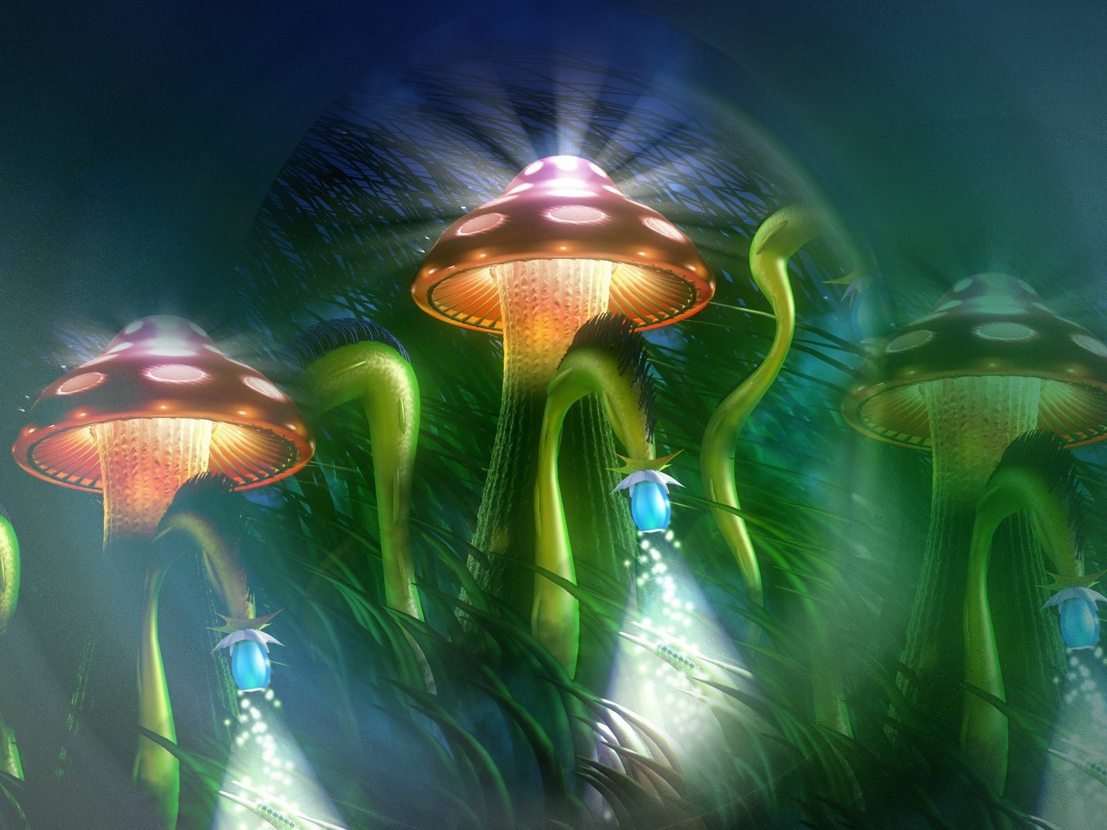 mushroom Wallpaper and Background Image | 1600x1200 | ID:445354
