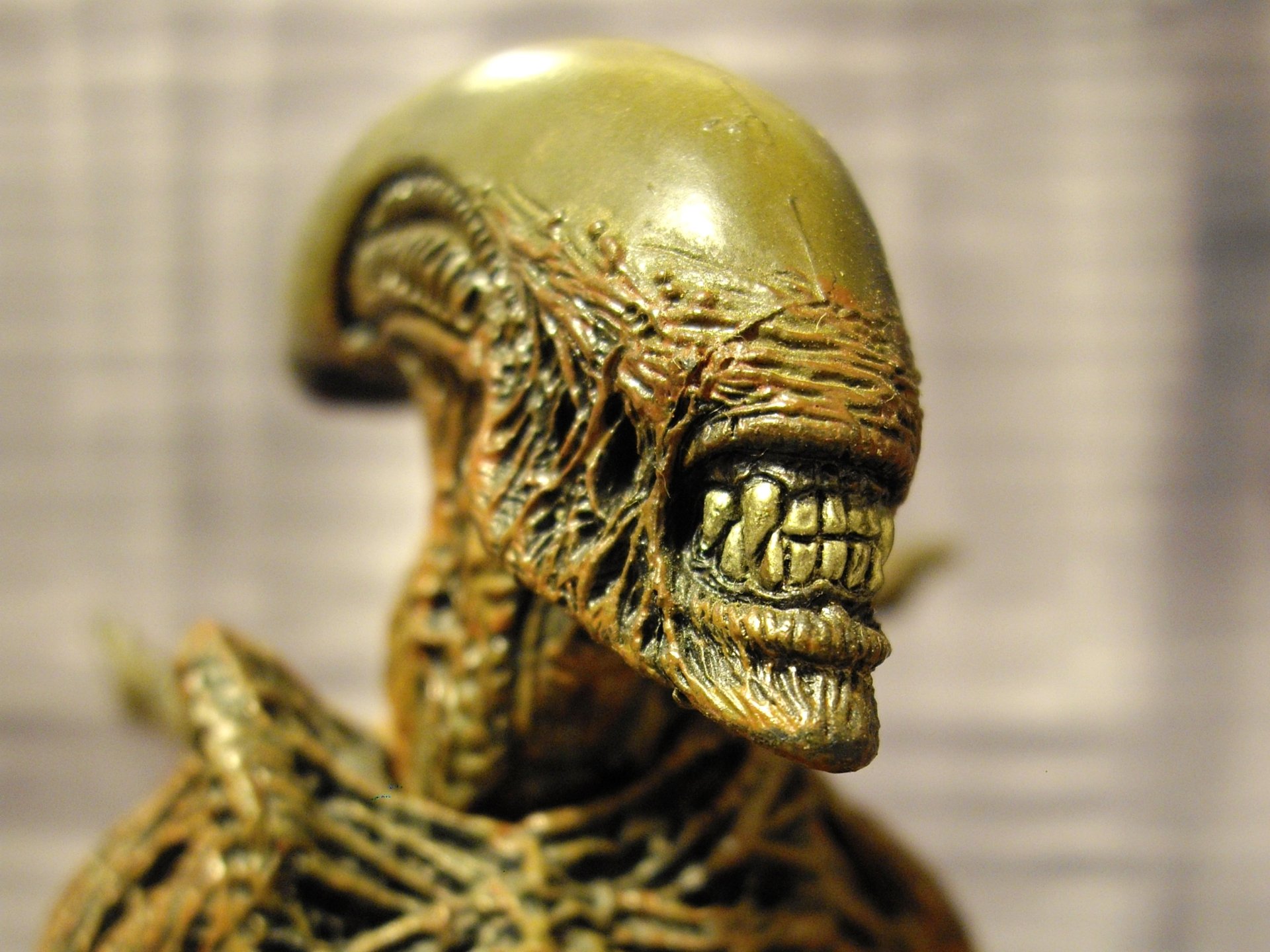 Movie alien close-up: bronze-green xenomorph head with exposed teeth and textured ridged skull, dramatic lighting. 2K Quad HD PC Desktop Wallpaper and Background.