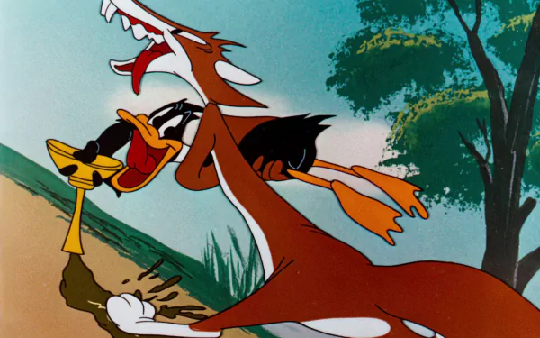 Daffy Duck interacts humorously with a coyote in this vibrant HD wallpaper from the iconic Looney Tunes TV show, capturing the playful spirit of animated classic characters.
