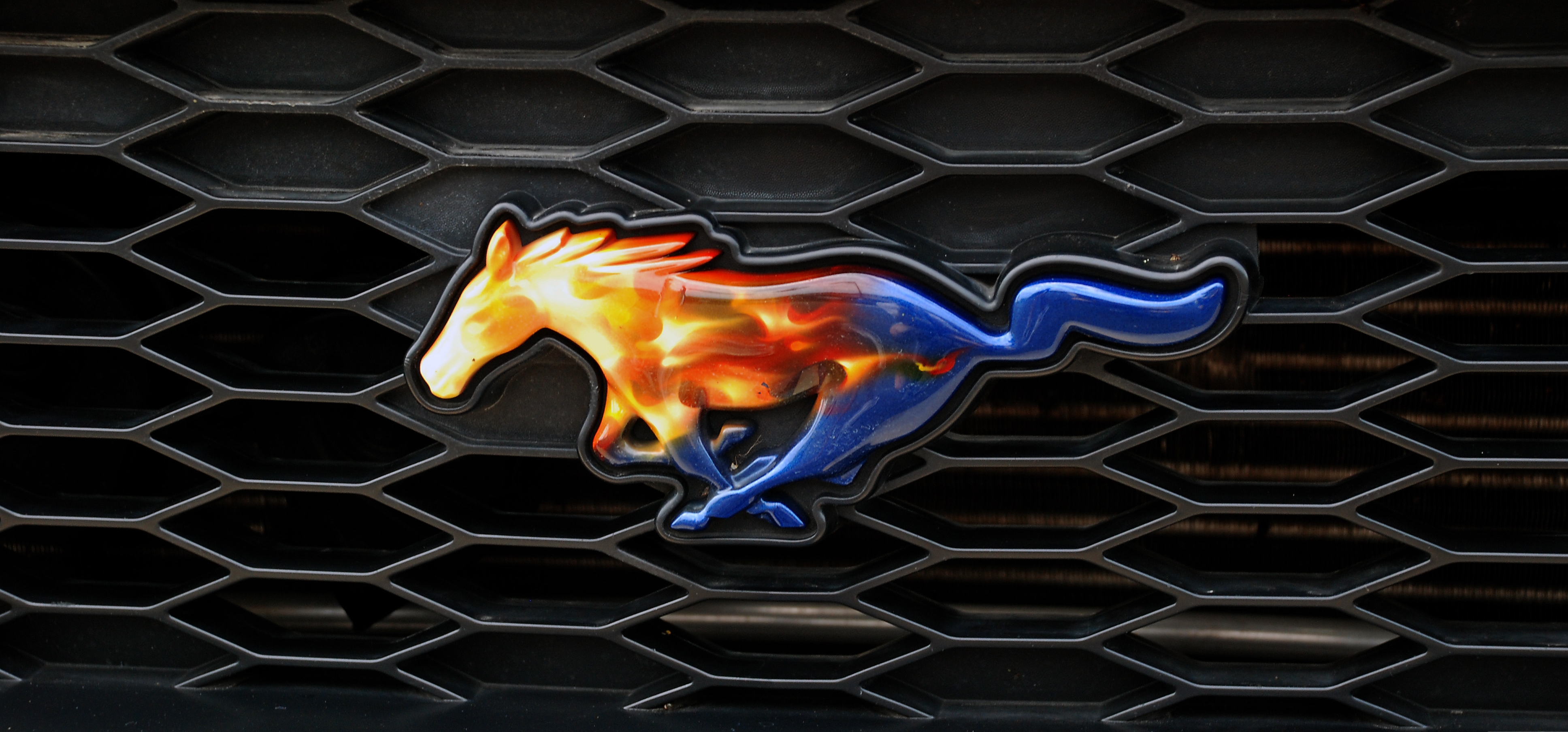 Ford Mustang Logo Wallpapers - Wallpaper Cave