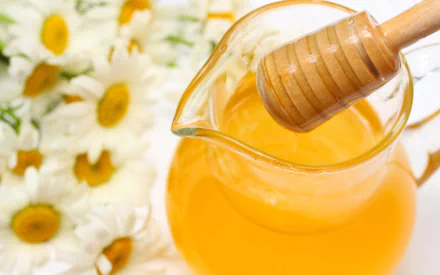 food honey HD Desktop Wallpaper | Background Image