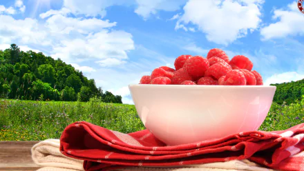 food raspberry HD Desktop Wallpaper | Background Image