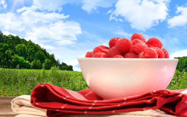food raspberry HD Desktop Wallpaper | Background Image