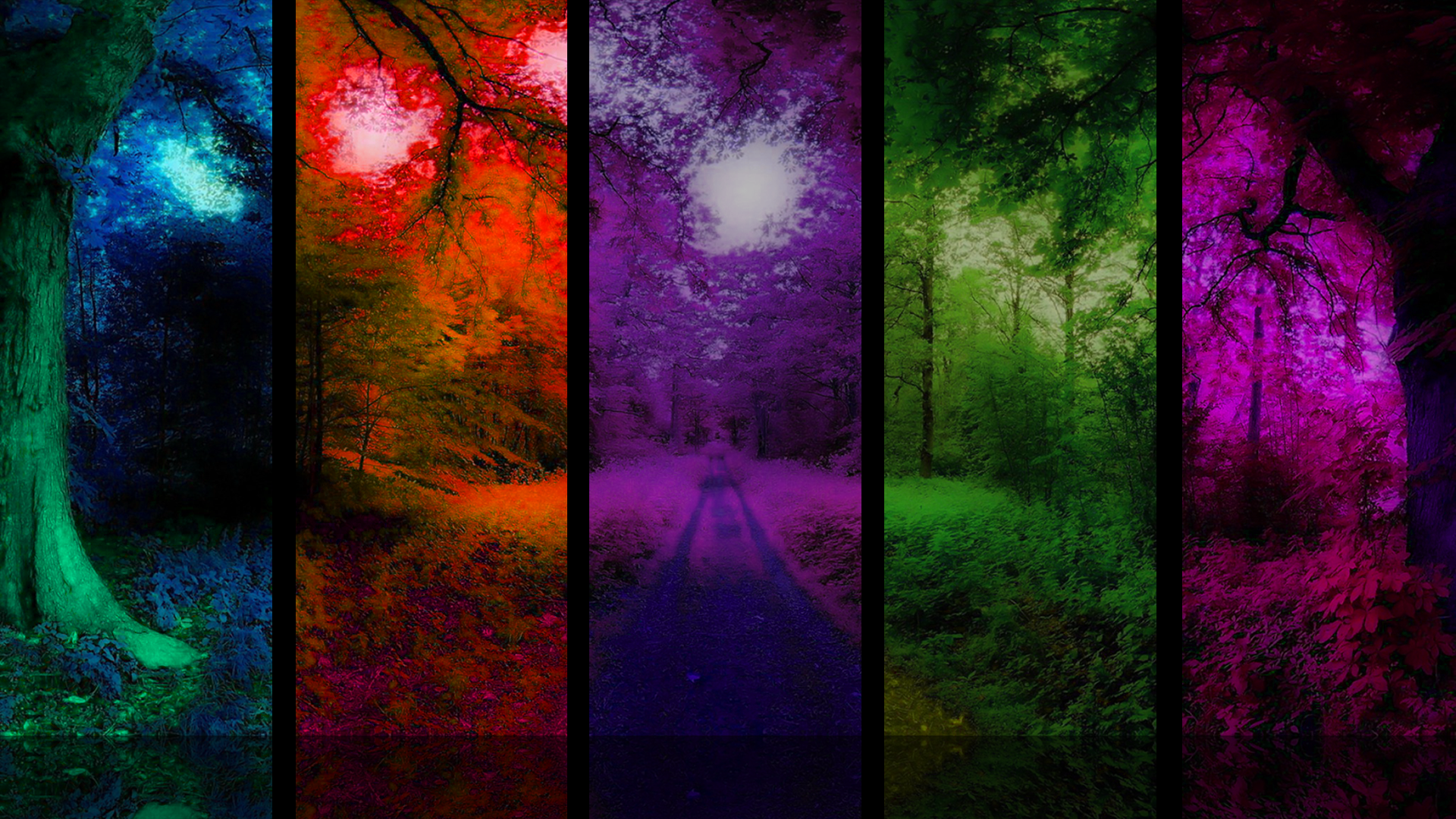 colorful forest wallpaper