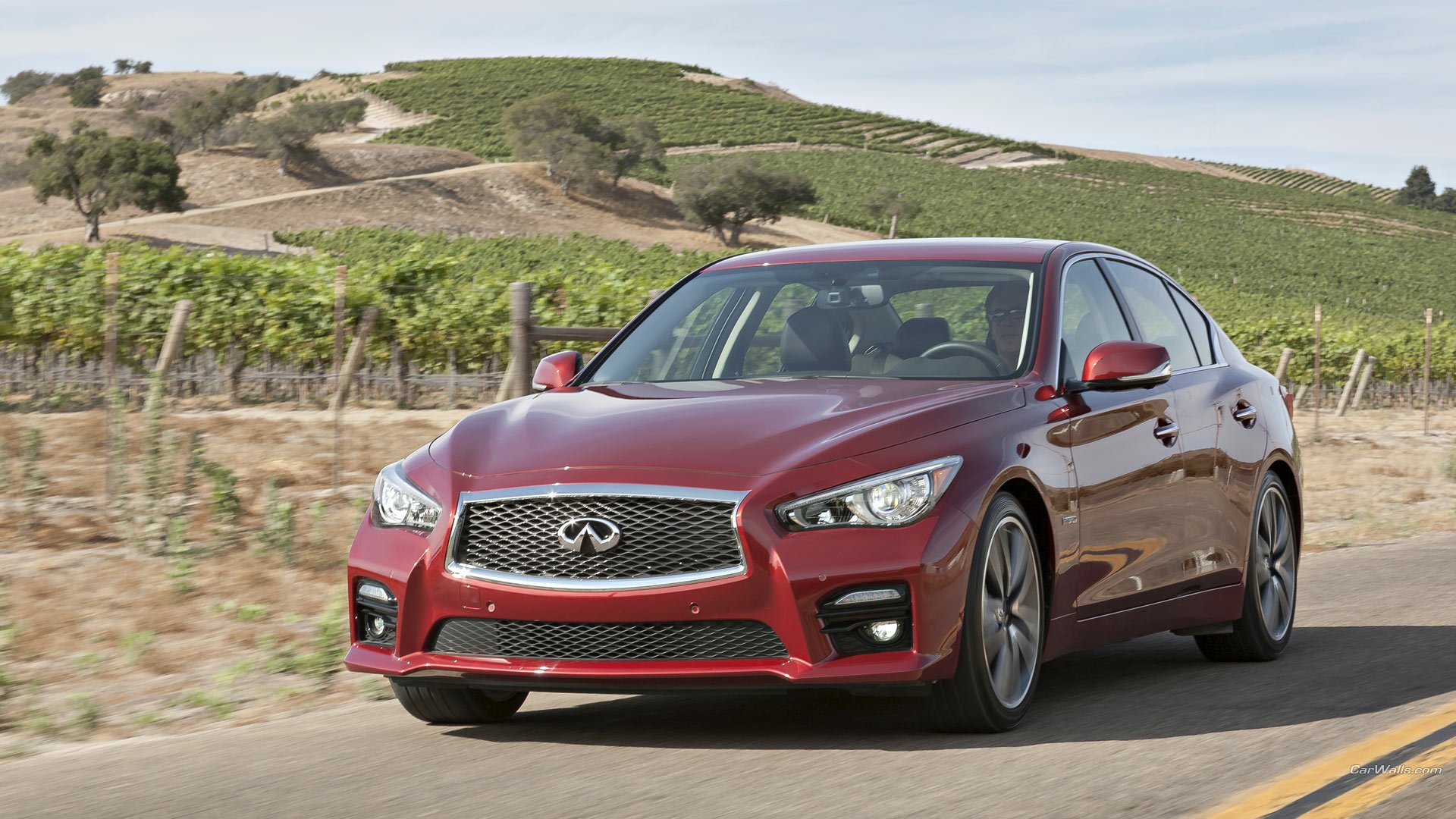 Infiniti Q50 Full HD Wallpaper and Background Image | 1920x1080 | ID:449821