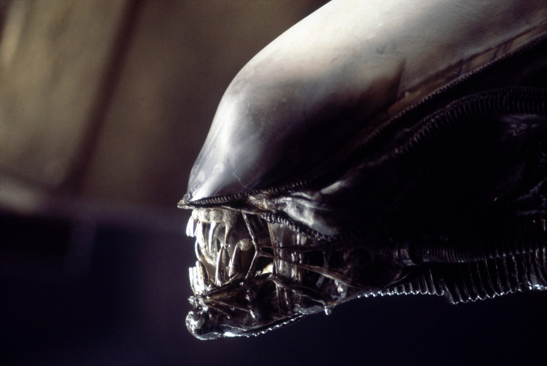 4K Ultra HD PC desktop wallpaper: close-up of a movie alien (xenomorph) head with glossy biomechanical skull and exposed inner jaw in dark, moody lighting.