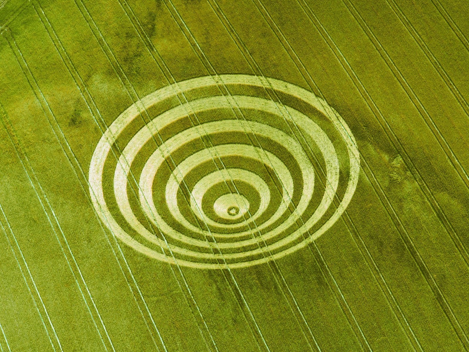 Download Man Made Crop Circle Wallpaper