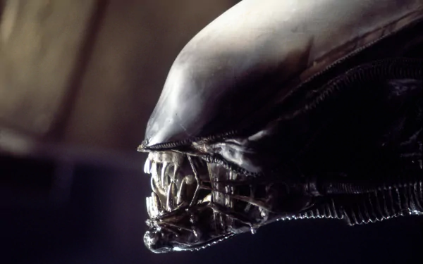 4K Ultra HD PC desktop wallpaper: close-up of a movie alien (xenomorph) head with glossy biomechanical skull and exposed inner jaw in dark, moody lighting.