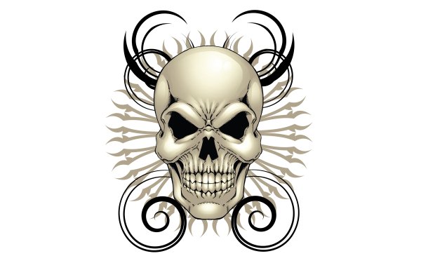 Dark Skull White HD Wallpaper | Background Image