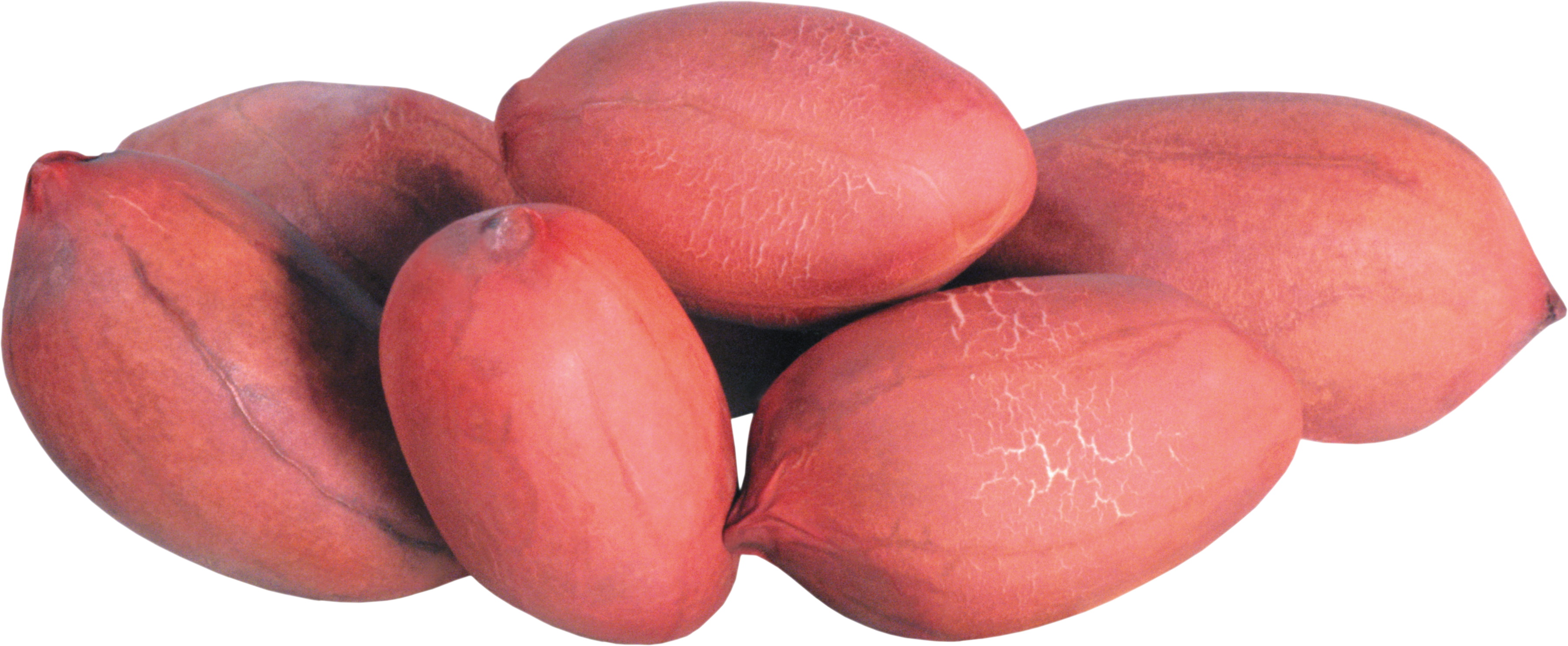 Download Food Peanut HD Wallpaper