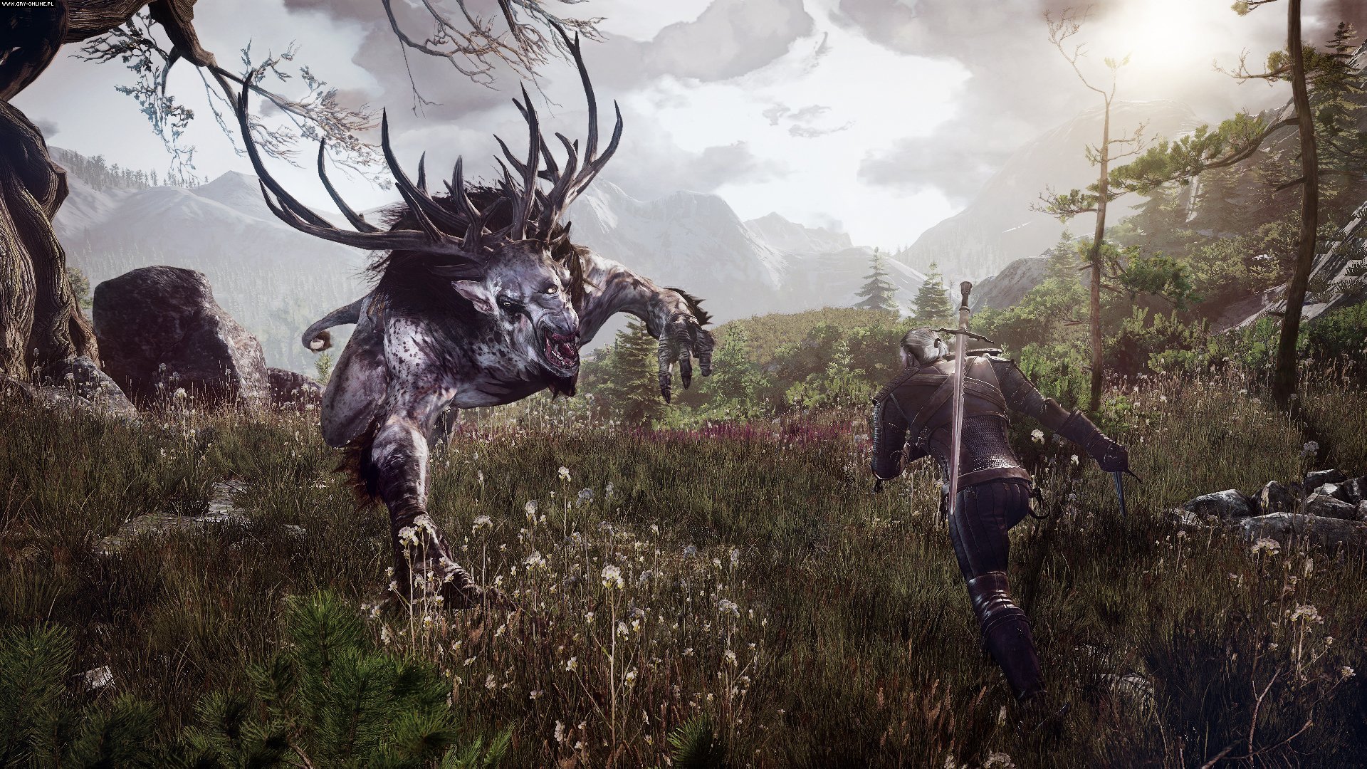 The Witcher 3: Wild Hunt HD Wallpaper