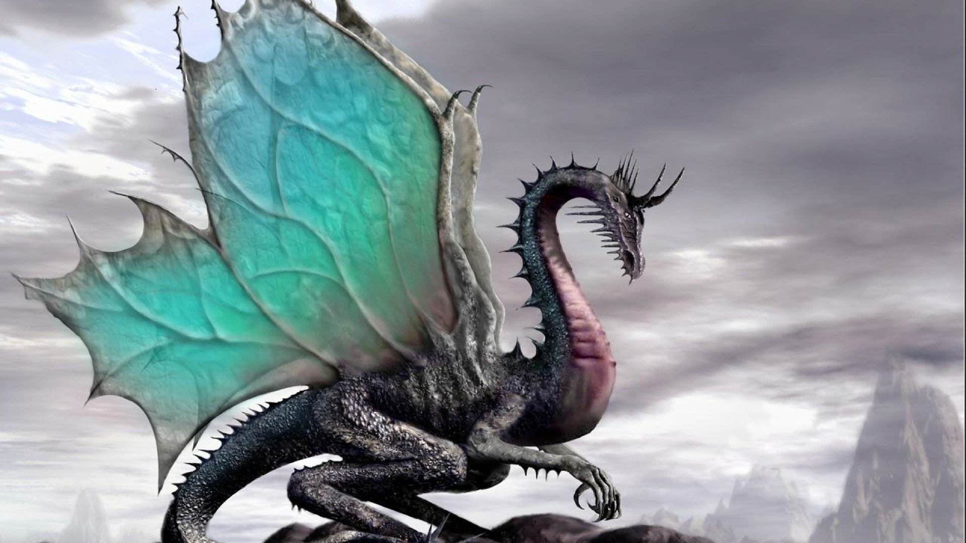 Dragon Full Hd Wallpaper And Background Image 1920x1080 Id 451181