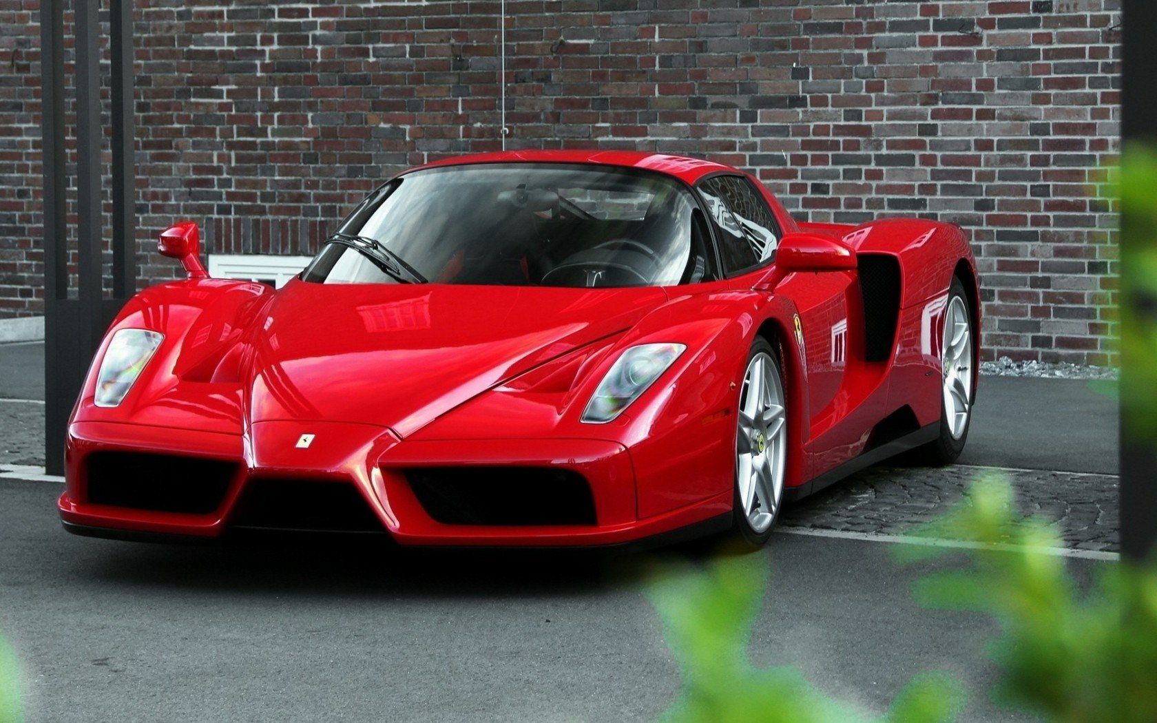 Vehicles Ferrari Enzo Wallpaper