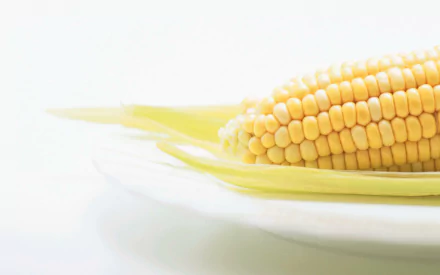 food corn HD Desktop Wallpaper | Background Image