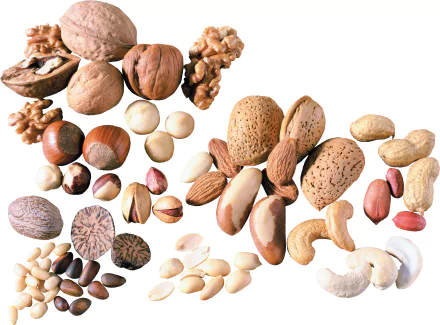 food nut HD Desktop Wallpaper | Background Image