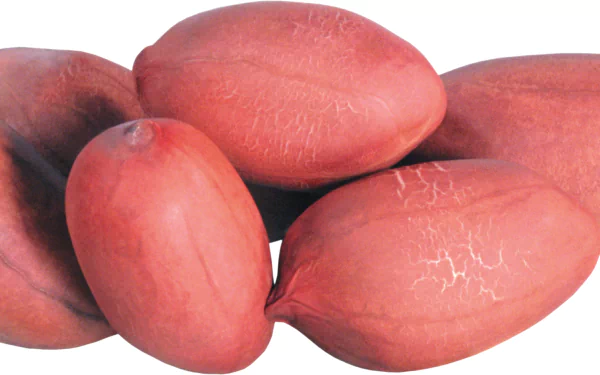 food peanut HD Desktop Wallpaper | Background Image