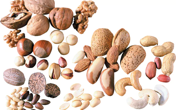 food nut HD Desktop Wallpaper | Background Image