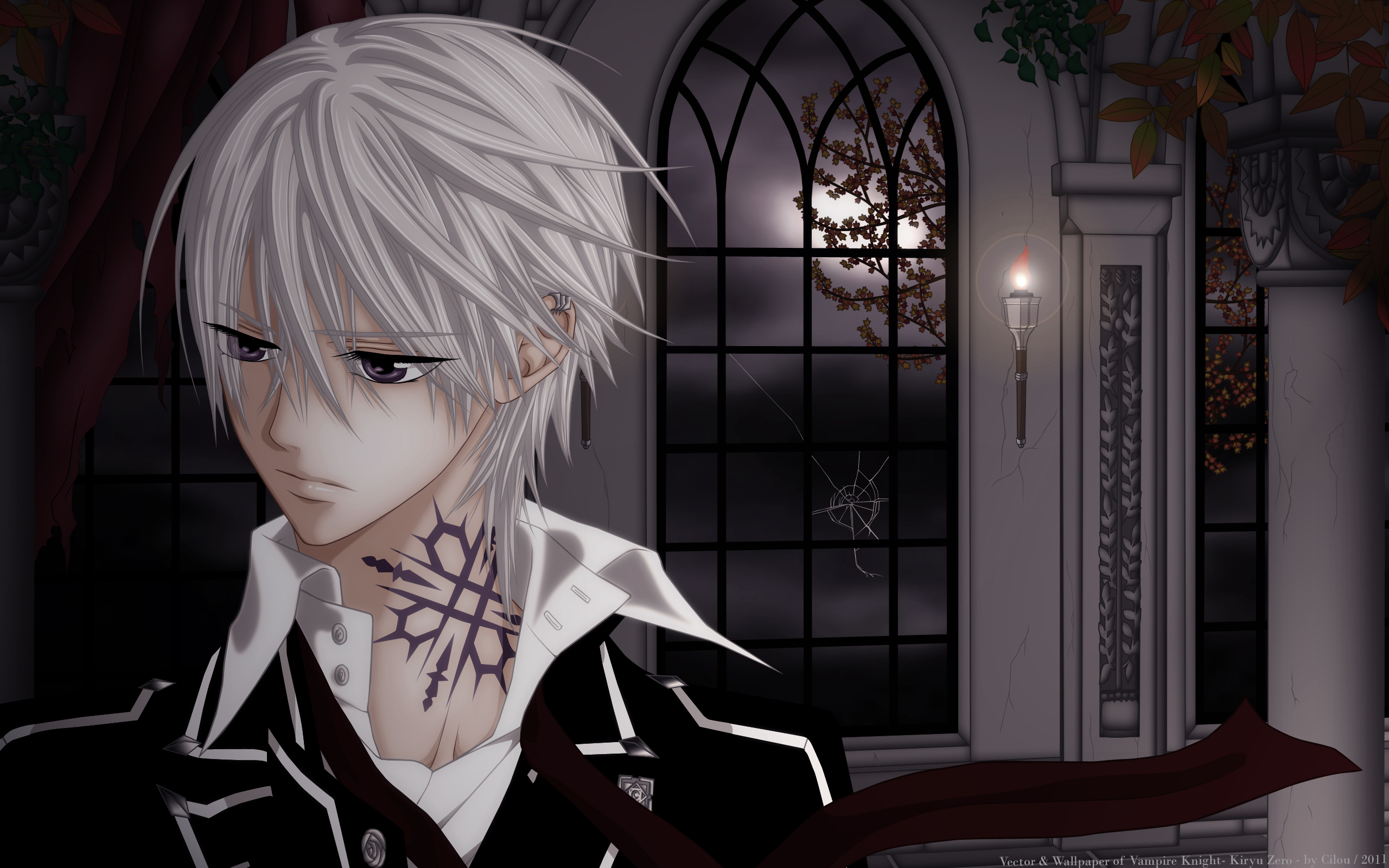 130+ Vampire Knight HD Wallpapers and Backgrounds