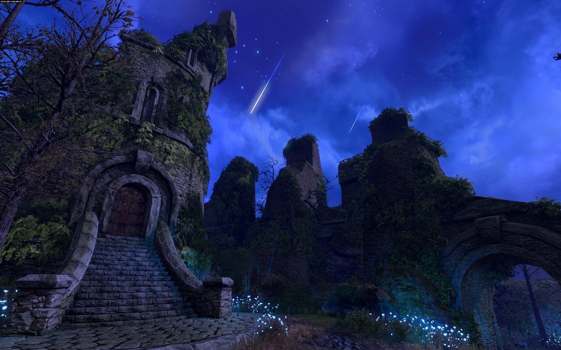 HD PC desktop wallpaper from the video game The Elder Scrolls Online, featuring a nighttime scene with ancient ruins under a starry sky and a shooting star.