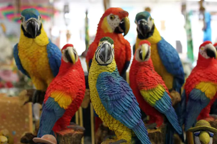 A vibrant collection of scarlet and blue-and-yellow macaws, showcasing intricate colors and details in this HD desktop wallpaper, capturing the beauty of these exotic birds.