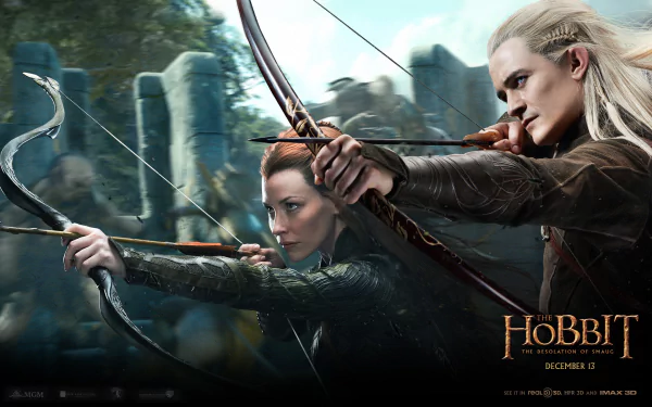 A dynamic scene from *The Hobbit: The Desolation of Smaug*, featuring two archers ready for action. This HD wallpaper captures the epic atmosphere of the film.
