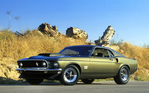  1969 Ford Mustang Boss 429