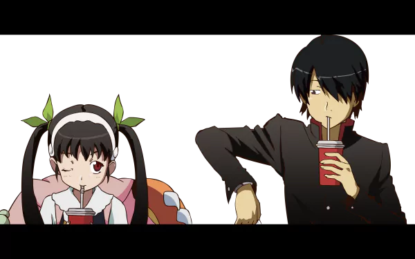 4K Ultra HD anime wallpaper featuring Koyomi Araragi and Mayoi Hachikuji with black hair from the Monogatari series, both drinking from red cups.