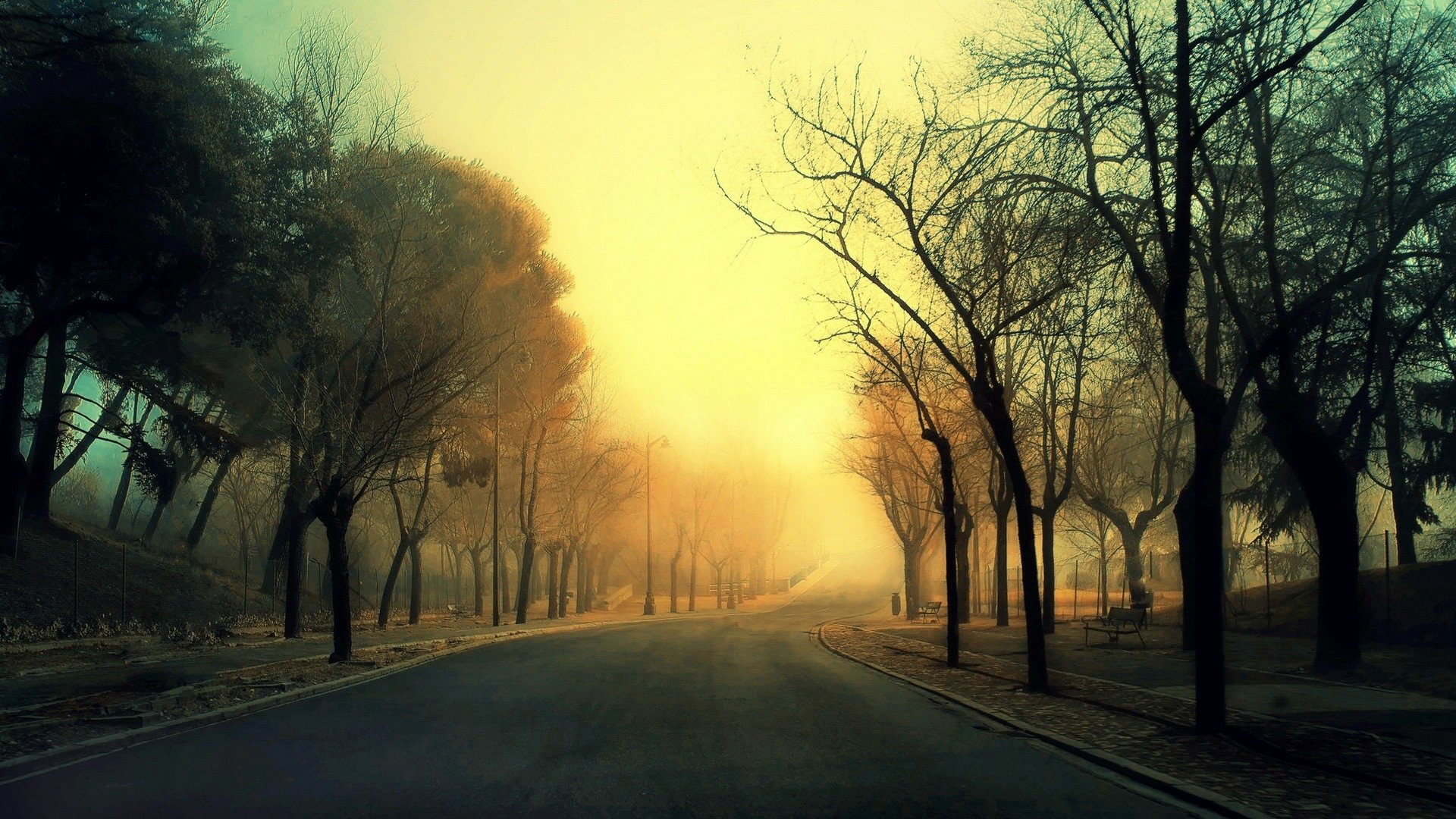 HD PC desktop wallpaper/background of a man-made road lined with bare trees, the pavement disappearing into a warm, golden morning fog.