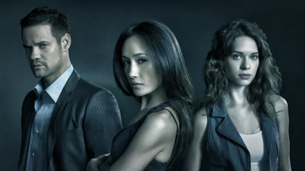 A high-definition wallpaper featuring Maggie Q and co-stars from the TV show Nikita, showcasing a dramatic and intense pose against a dark background.